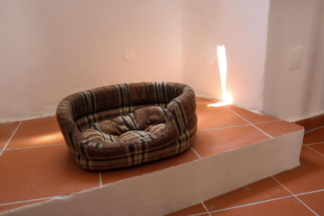 Ti8-Travessa Das Invernas 8 Évora Esterno foto